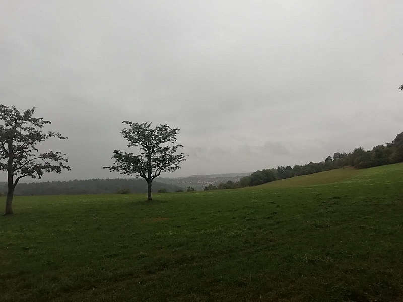 IMG-20200830-WA0024
