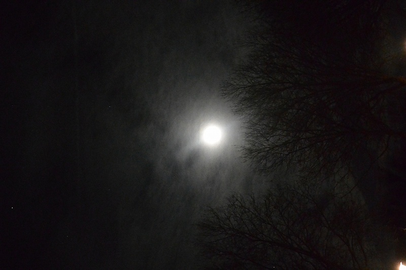 DSC_4687
