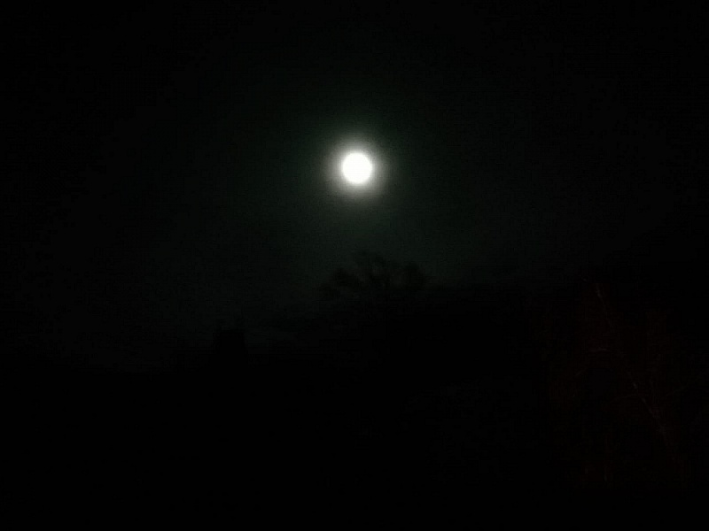 IMG-20200109-WA0008