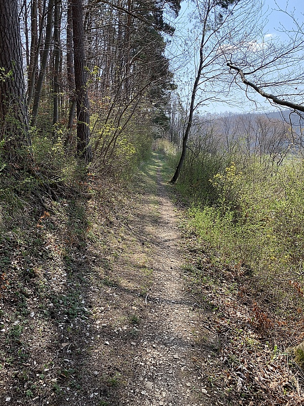 IMG_1839
