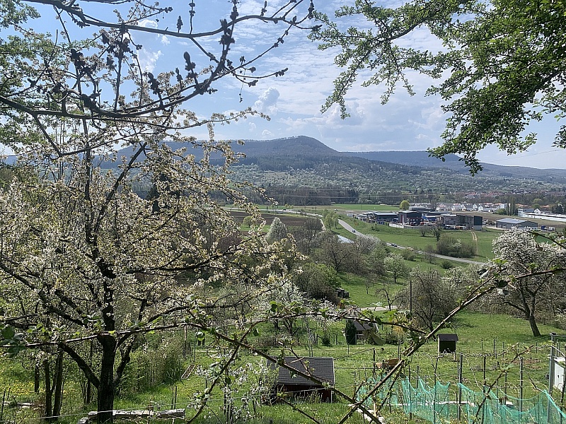 IMG_1856