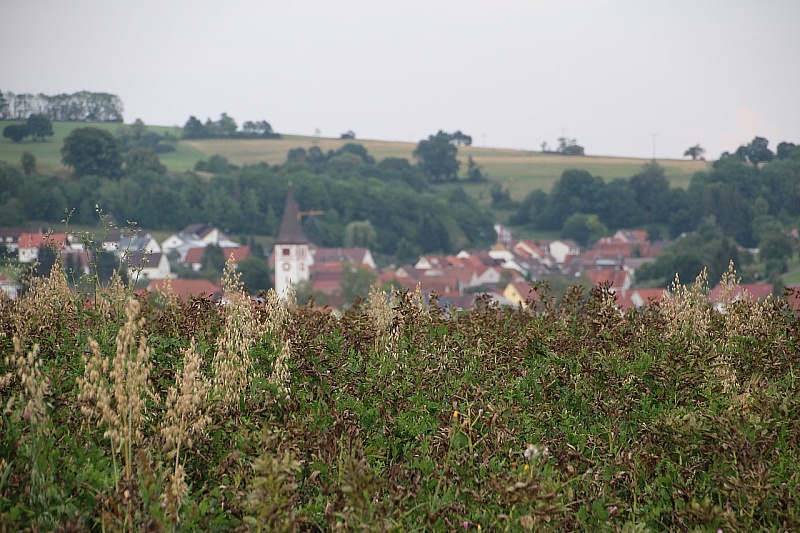 IMG_7865
