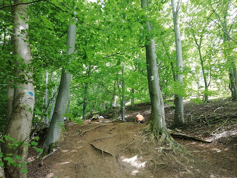 IMG-20200613-WA0016