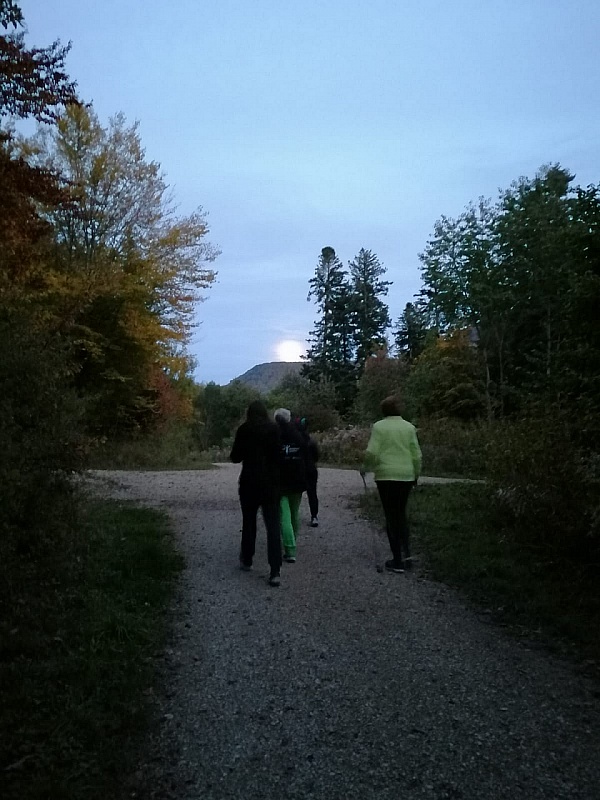 IMG-20211019-WA0009
