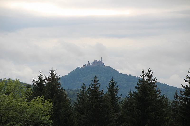 IMG_8789.JPG