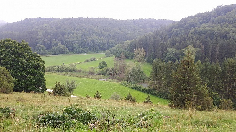 IMG-20210725-WA0015
