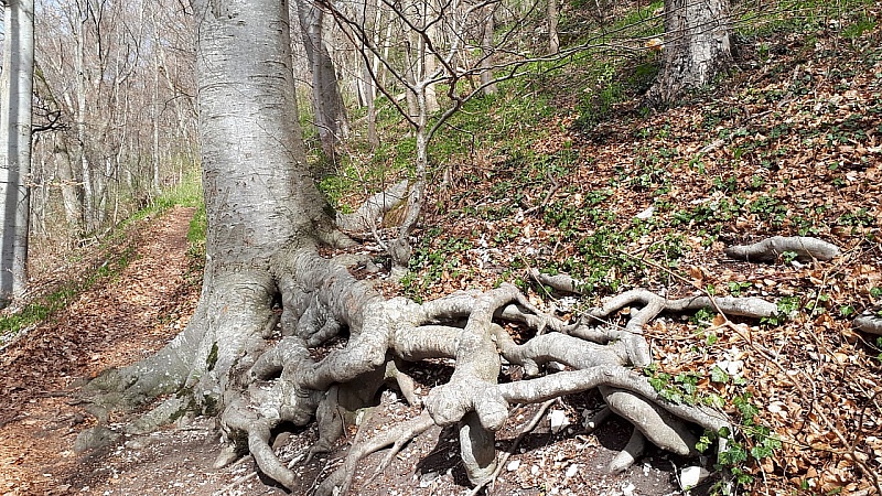 IMG-20210411-WA0011.jpg