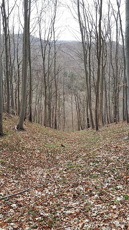IMG-20210411-WA0048.jpg