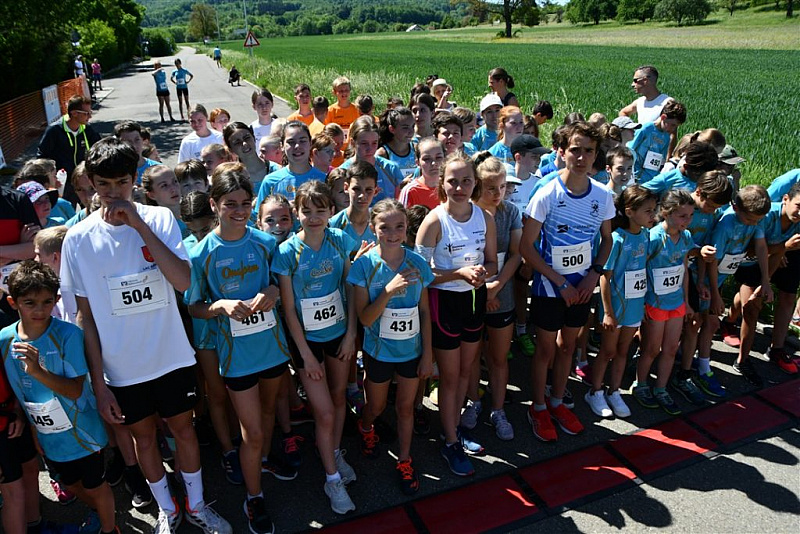 DSC_0720-1024x683