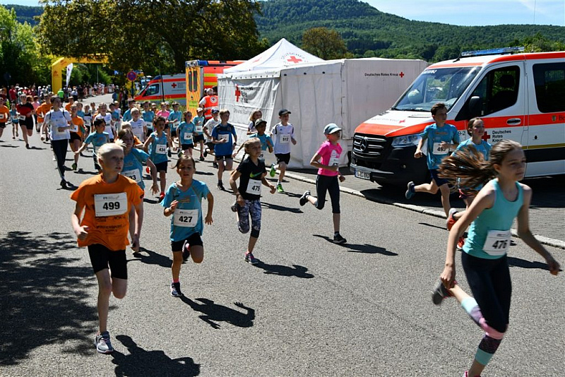 DSC_0740-1024x683
