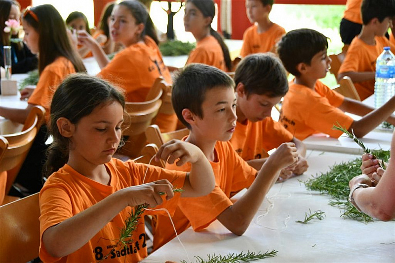 DSC_1207-1024x683
