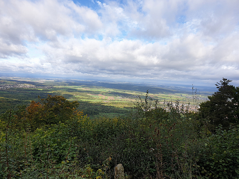 20221002_101736.jpg