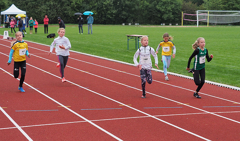 P9175206.jpg