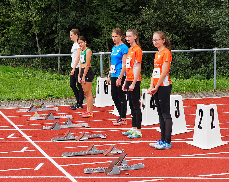 P9175291.jpg