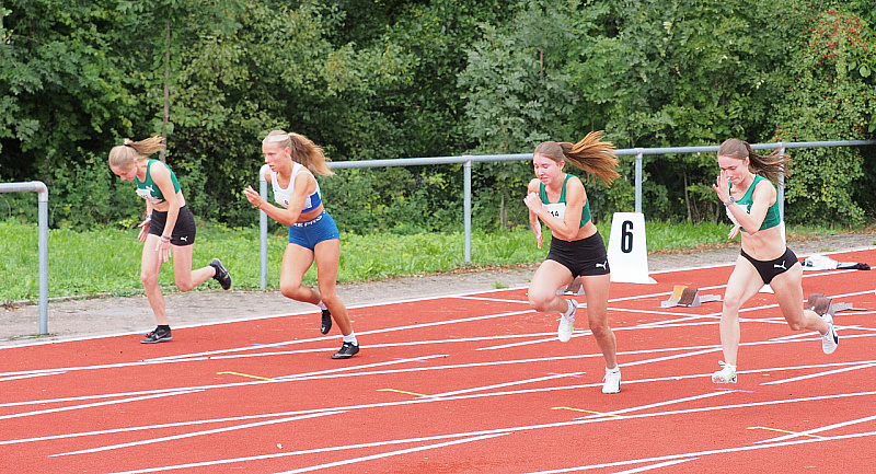 P9175294.jpg