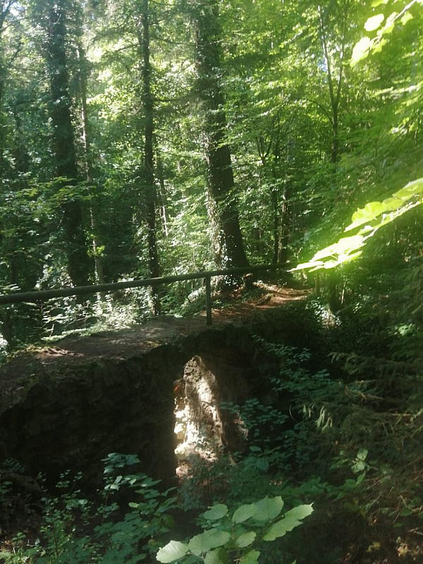 IMG-20220821-WA0038