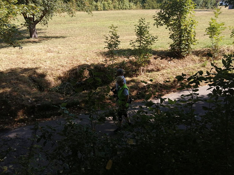 IMG-20220821-WA0039