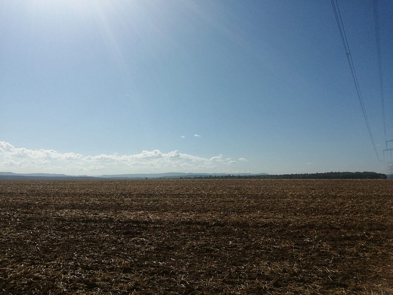 IMG-20220821-WA0040