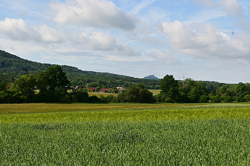 DSC_1296