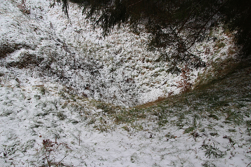 IMG_9351.JPG