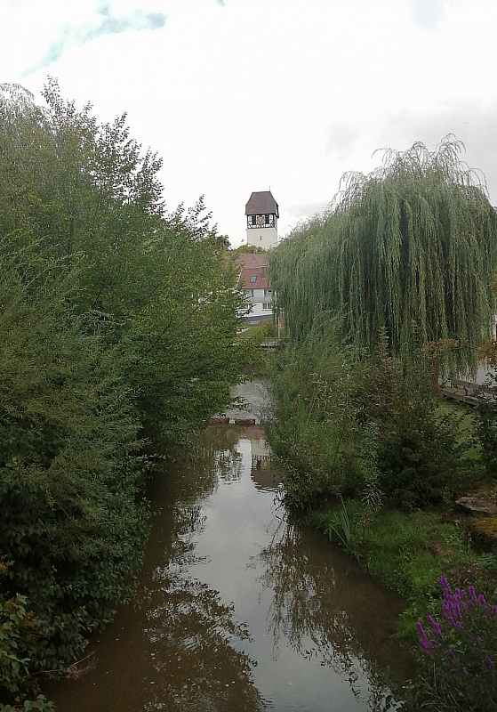 IMG-20220911-WA0015