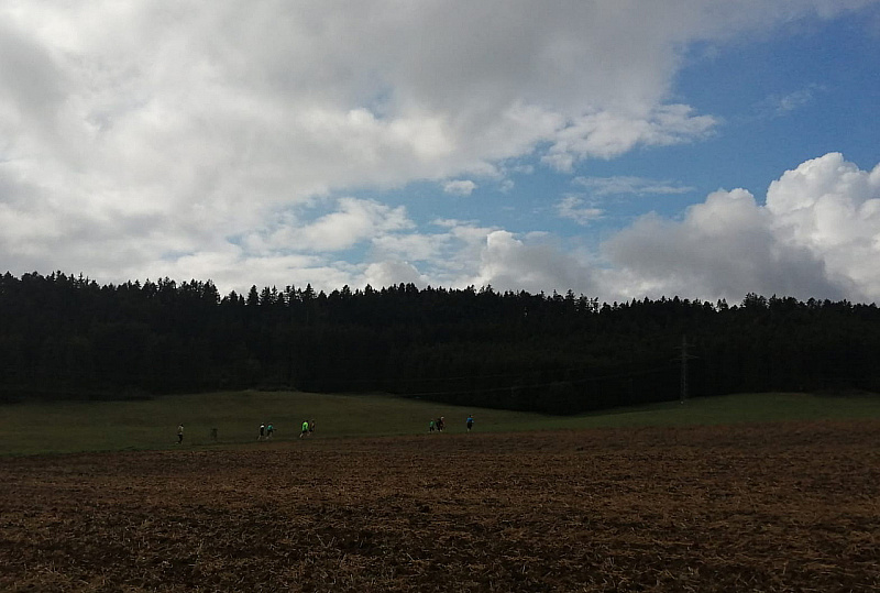 IMG-20220911-WA0026