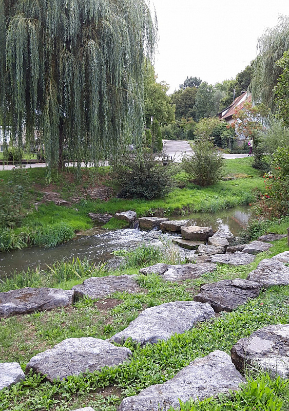 IMG-20220911-WA0045