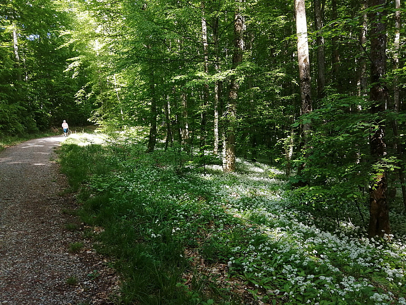 IMG-20220514-WA0012