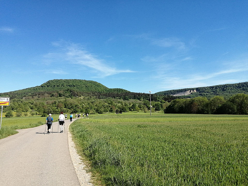 IMG-20220514-WA0017