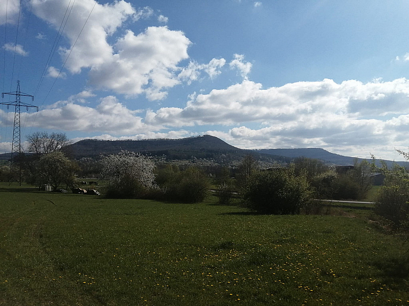 IMG-20220417-WA0054.jpg