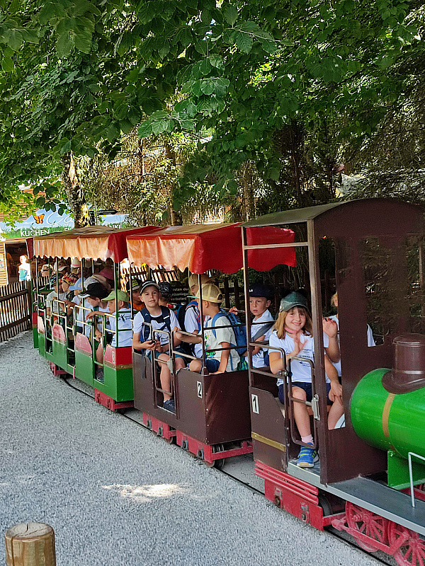 IMG_20220715_151900.jpg