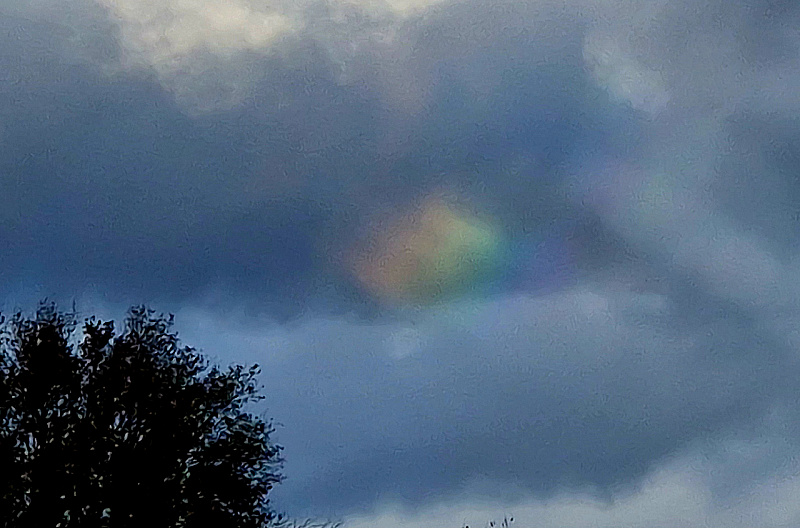 20231027_162836.jpg