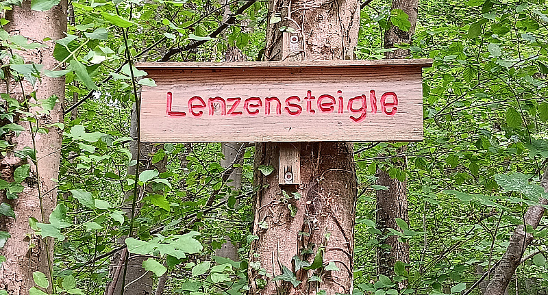 20230819_171257.jpg