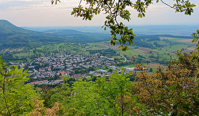 20230819_174809.jpg