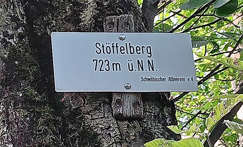 20230819_181247.jpg