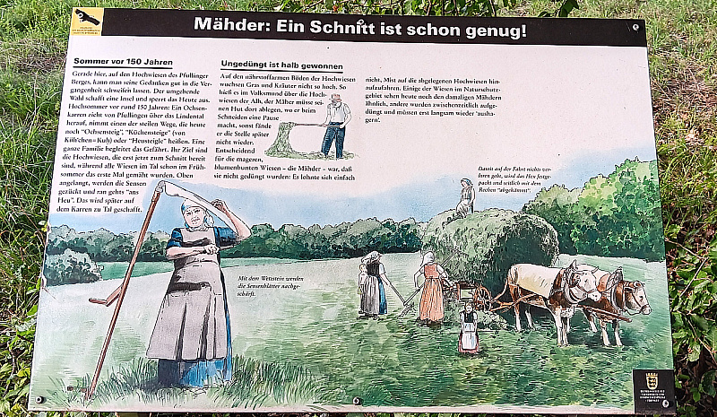 20230819_184650.jpg