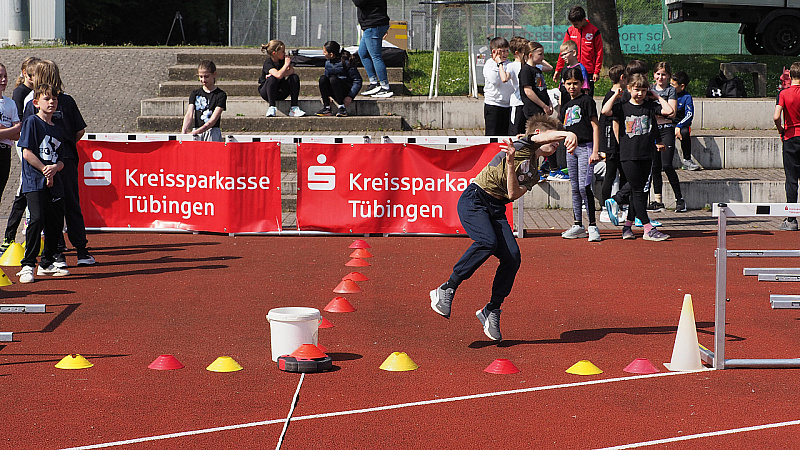 P5080151