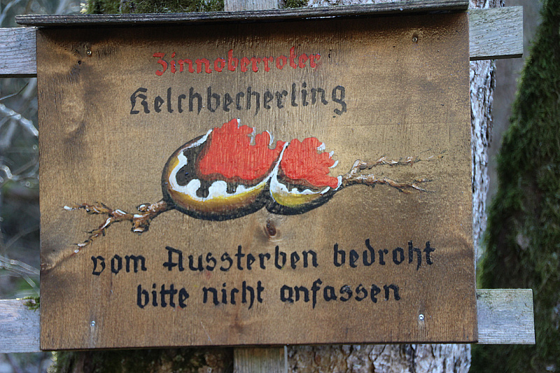 IMG 0794