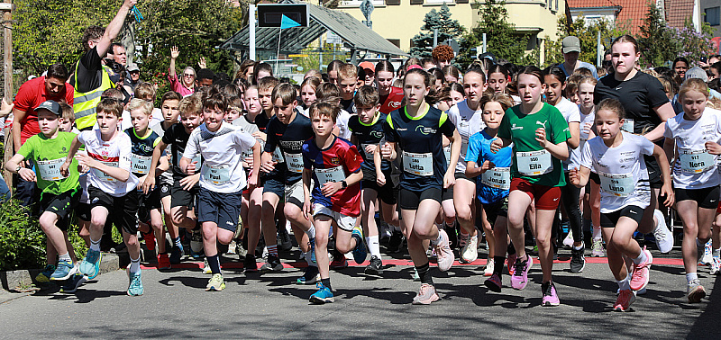 3B9A0570 (2)