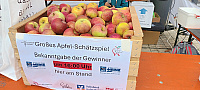 14. Apfellauf und -Walking 2025