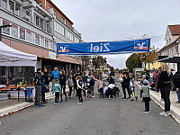 IMG 3338