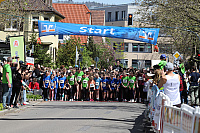IMG_8026.JPG