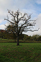 IMG_0589