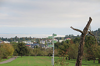 IMG_0590