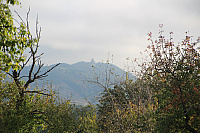 IMG_0595
