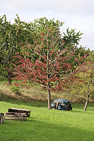 IMG_0600