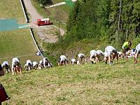 Titisee Red Bull Schanzenlauf 16. Juli