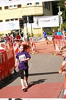 IMG 9377