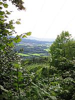 IMG_0399
