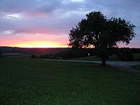 IMG_0449